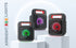 IT 202 12W Bluetooth Speaker